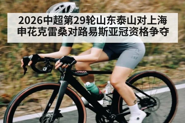 2026中超第29轮山东泰山对上海申花克雷桑对路易斯亚冠资格争夺 - kaiyun